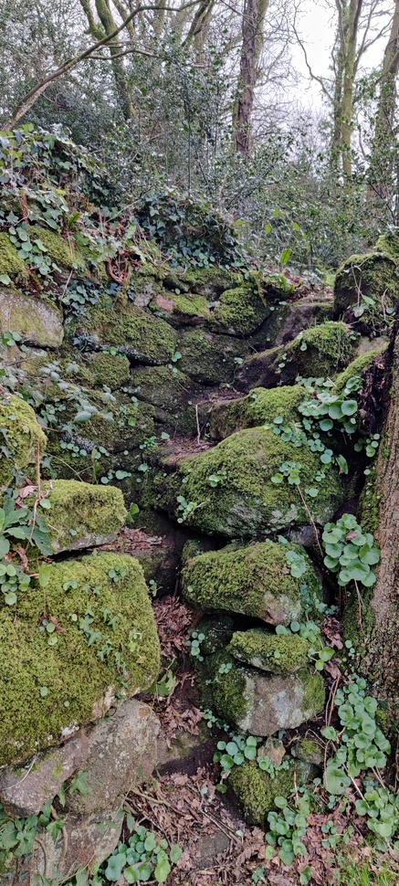 IMG 20210205 164415