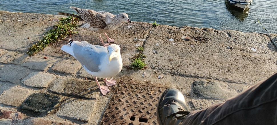 IMG 20211016 095634